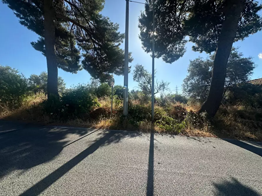 Immagine 5 di Terreno in vendita  in Contrada Sorgente a San Filippo Del Mela