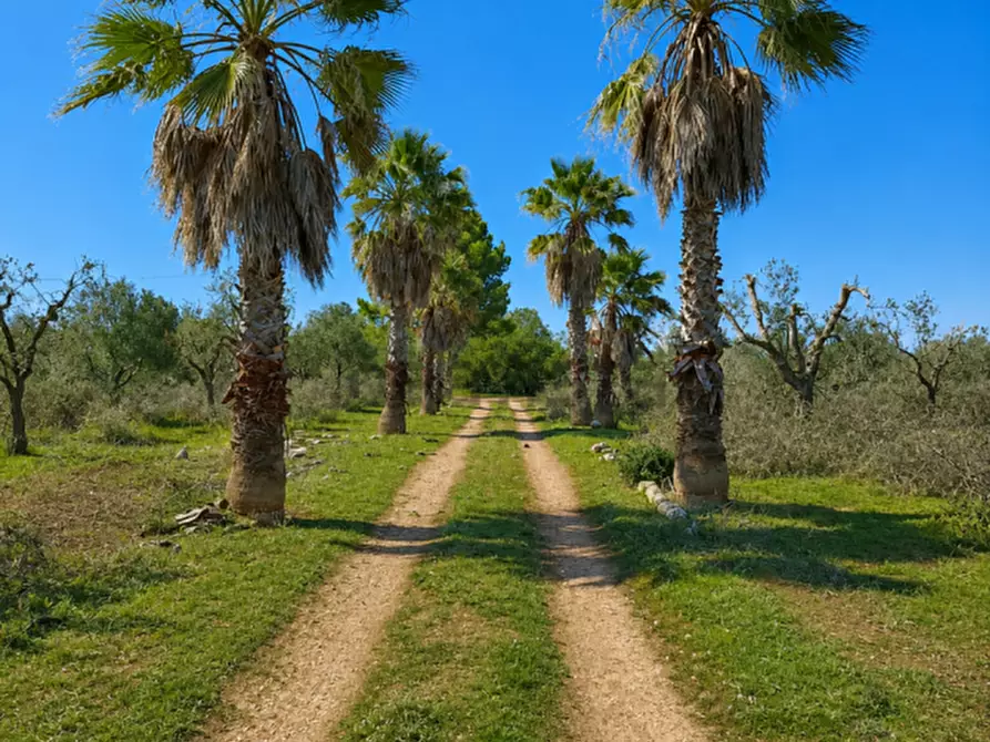 Immagine 10 di Villa in vendita  a Brindisi