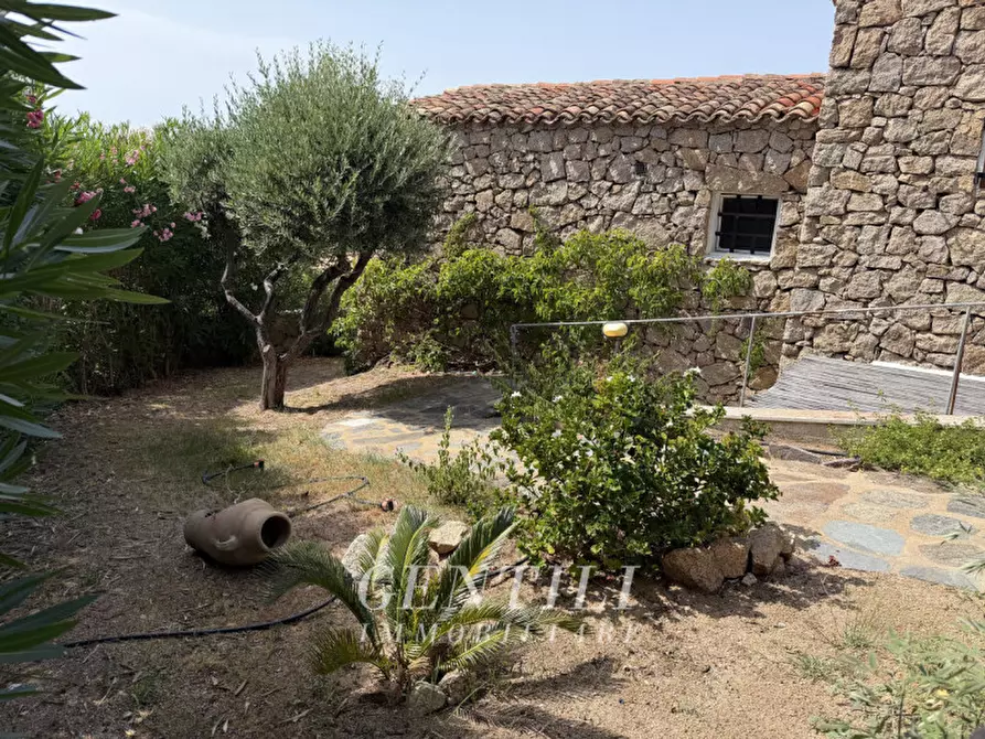 Immagine 43 di Appartamento in vendita  a Arzachena