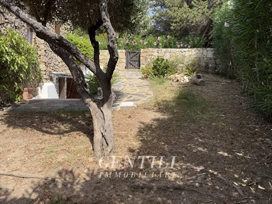 Immagine 44 di Appartamento in vendita  a Arzachena