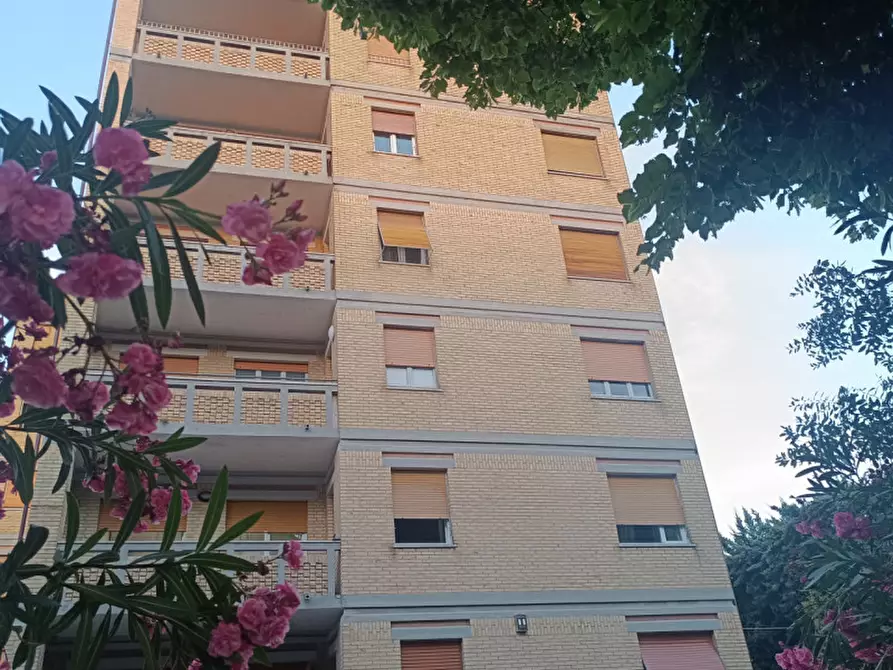 Immagine 6 di Appartamento in vendita  in Viale Telesforo Carradori a Macerata