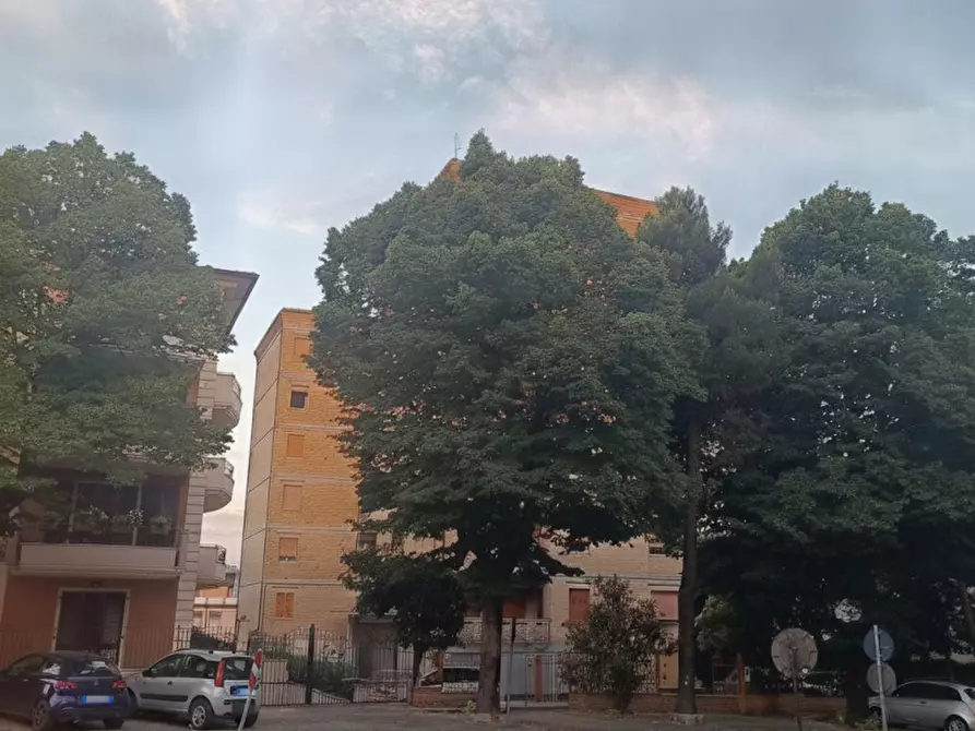 Immagine 11 di Appartamento in vendita  in Viale Telesforo Carradori a Macerata