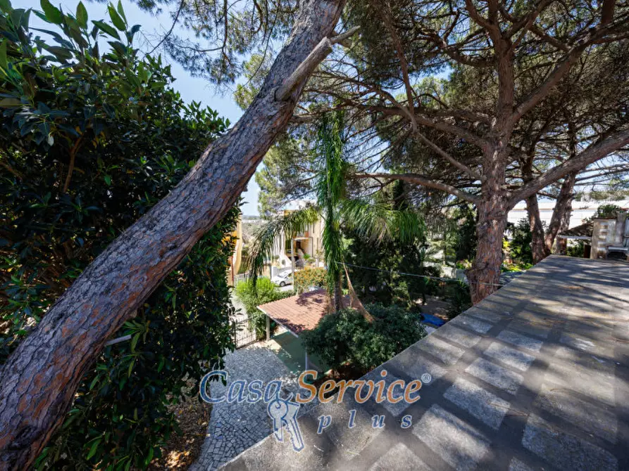 Immagine 61 di Casa bifamiliare in vendita  in Via San Simone a Sannicola