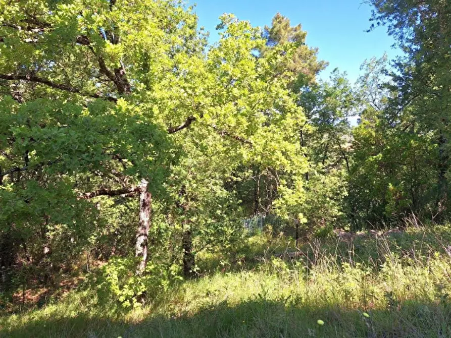 Immagine 1 di Terreno in vendita  in Vocabolo Il Cetinale, Cavriglia AR, Italia a Cavriglia