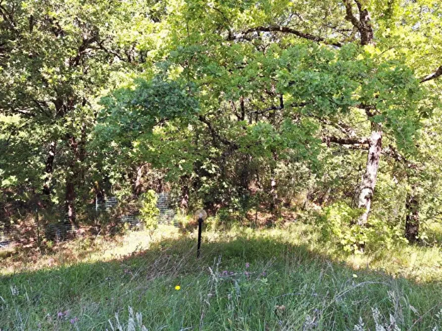 Immagine 2 di Terreno in vendita  in Vocabolo Il Cetinale, Cavriglia AR, Italia a Cavriglia