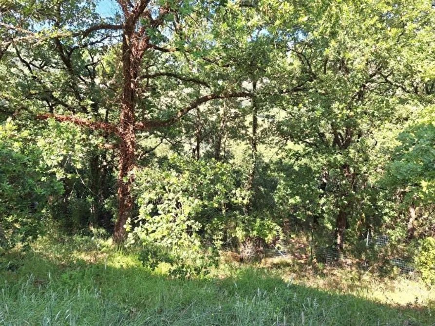 Immagine 5 di Terreno in vendita  in Vocabolo Il Cetinale, Cavriglia AR, Italia a Cavriglia