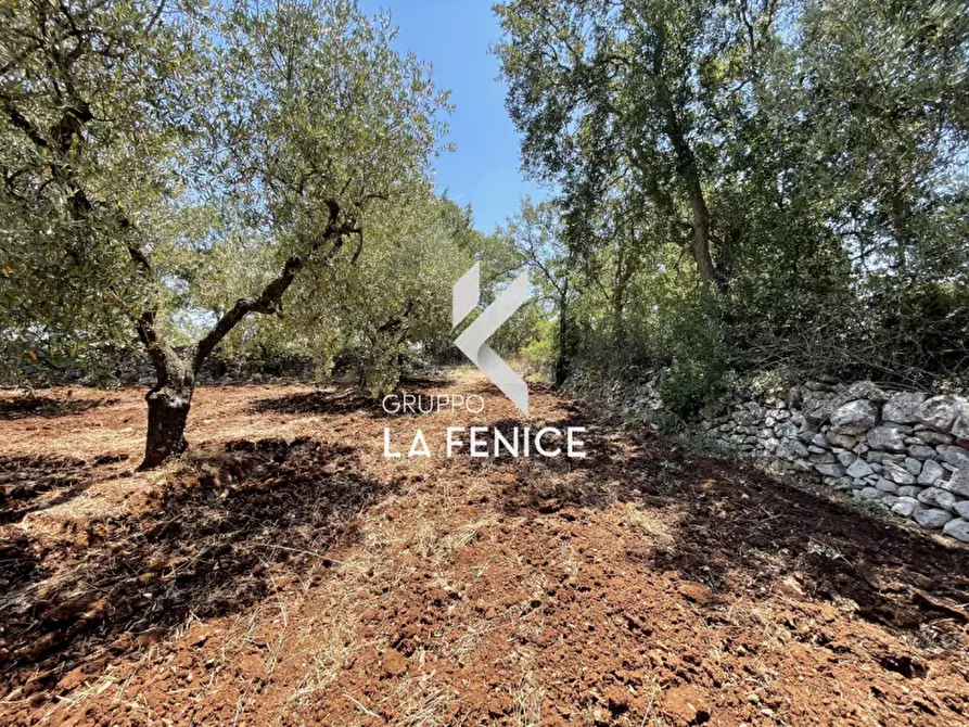 Immagine 10 di Terreno in vendita  in Contrada Parco Tallinaio a Locorotondo