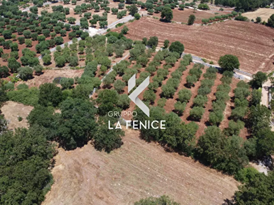 Immagine 22 di Terreno in vendita  in Contrada Parco Tallinaio a Locorotondo