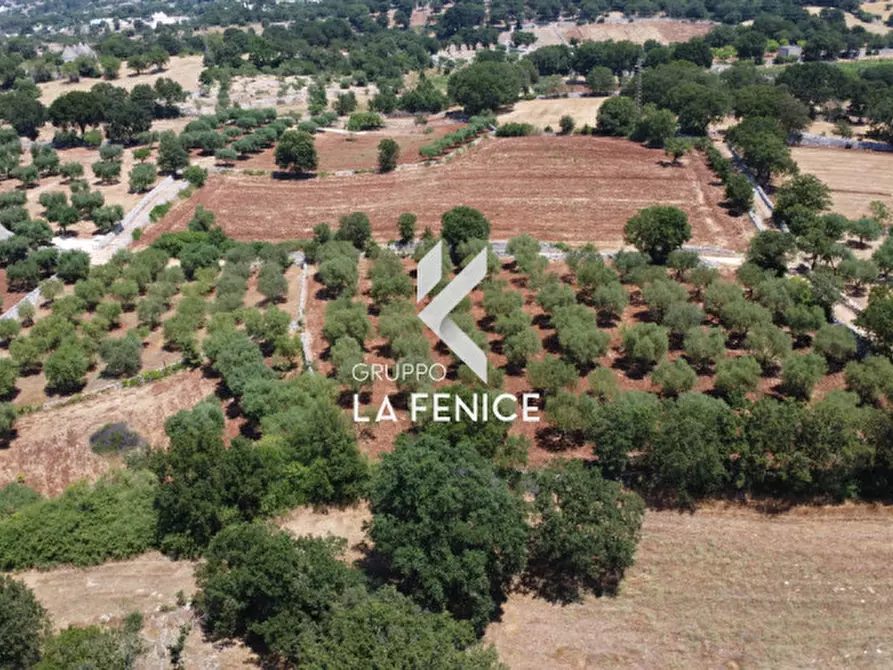 Immagine 24 di Terreno in vendita  in Contrada Parco Tallinaio a Locorotondo