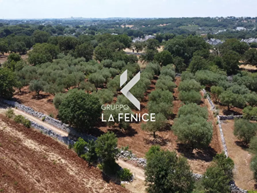 Immagine 27 di Terreno in vendita  in Contrada Parco Tallinaio a Locorotondo