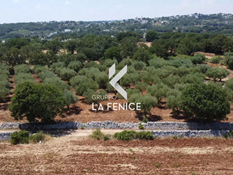 Immagine 28 di Terreno in vendita  in Contrada Parco Tallinaio a Locorotondo