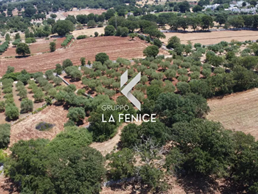 Immagine 29 di Terreno in vendita  in Contrada Parco Tallinaio a Locorotondo