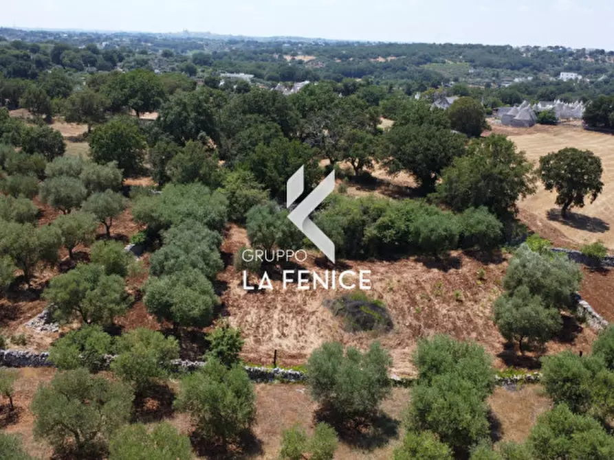 Immagine 32 di Terreno in vendita  in Contrada Parco Tallinaio a Locorotondo