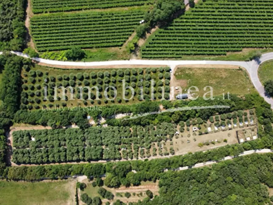 Immagine 1 di Terreno in vendita  in Località Casetta Cimi a Caprino Veronese