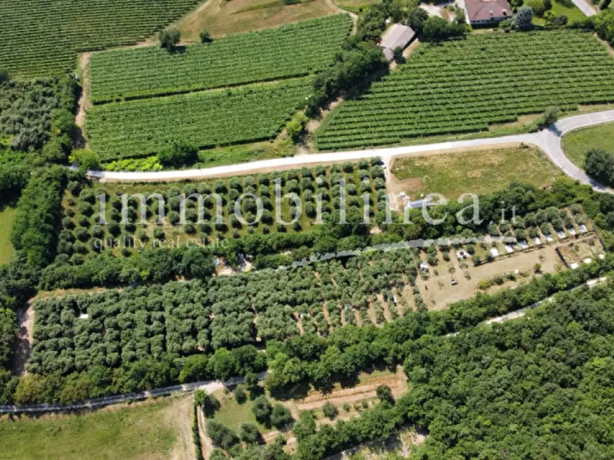Immagine 2 di Terreno in vendita  in Località Casetta Cimi a Caprino Veronese
