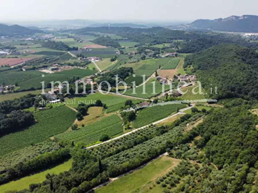 Immagine 3 di Terreno in vendita  in Località Casetta Cimi a Caprino Veronese