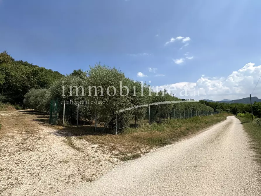 Immagine 8 di Terreno in vendita  in Località Casetta Cimi a Caprino Veronese