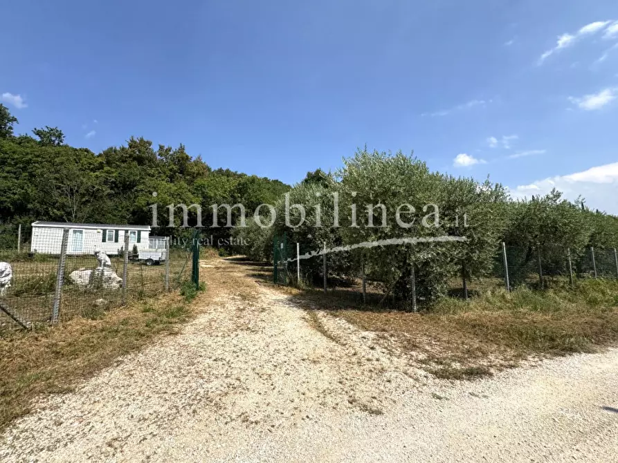 Immagine 9 di Terreno in vendita  in Località Casetta Cimi a Caprino Veronese