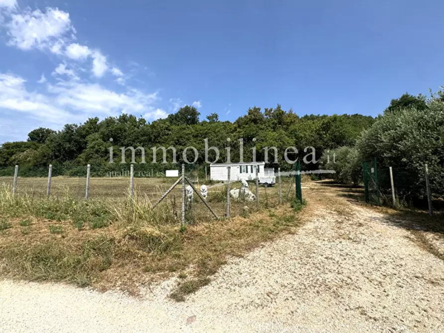 Immagine 10 di Terreno in vendita  in Località Casetta Cimi a Caprino Veronese