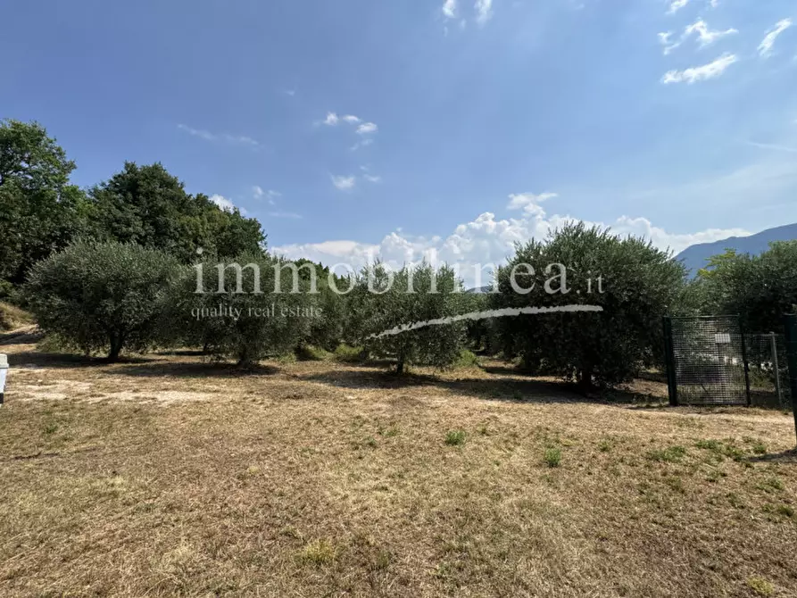 Immagine 14 di Terreno in vendita  in Località Casetta Cimi a Caprino Veronese
