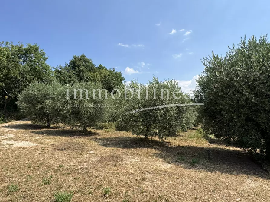 Immagine 16 di Terreno in vendita  in Località Casetta Cimi a Caprino Veronese