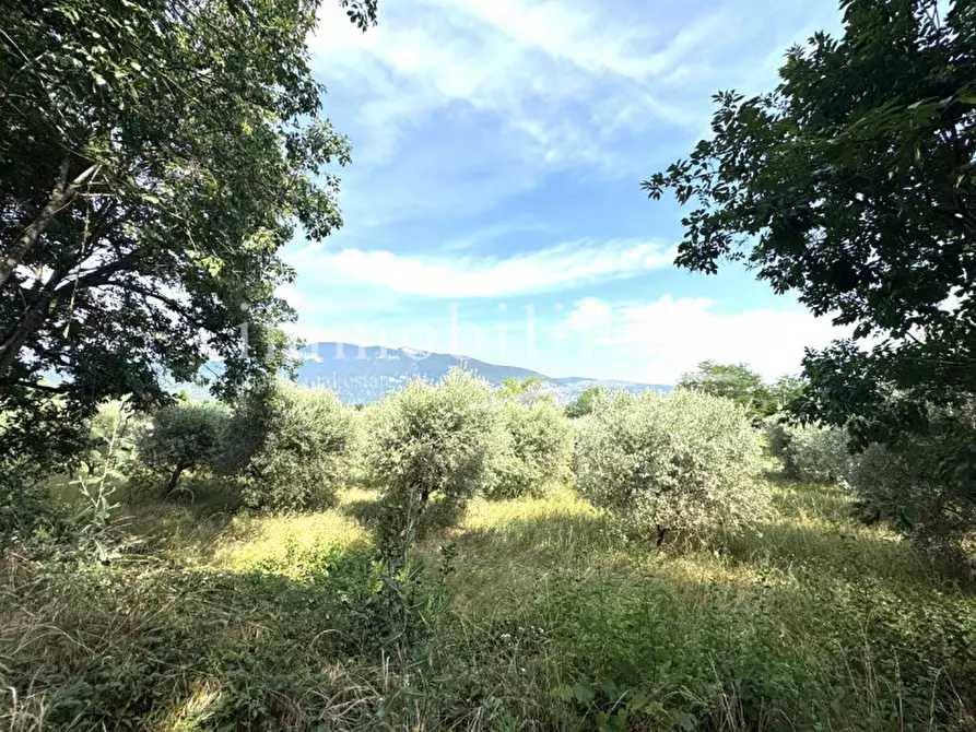Immagine 18 di Terreno in vendita  in Località Casetta Cimi a Caprino Veronese
