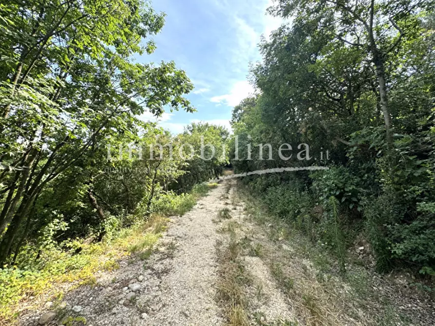 Immagine 19 di Terreno in vendita  in Località Casetta Cimi a Caprino Veronese