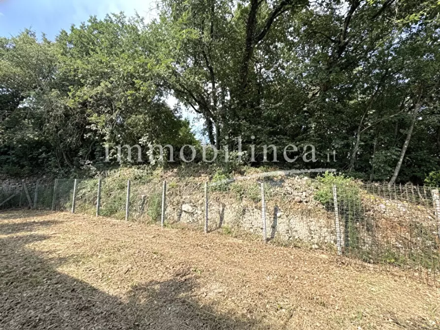 Immagine 22 di Terreno in vendita  in Località Casetta Cimi a Caprino Veronese