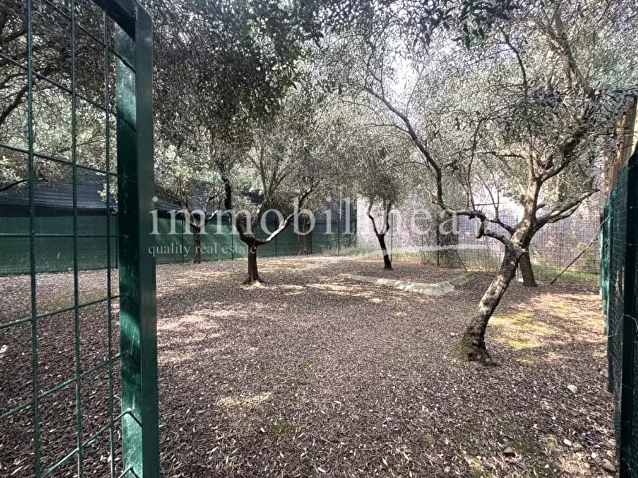 Immagine 23 di Terreno in vendita  in Località Casetta Cimi a Caprino Veronese