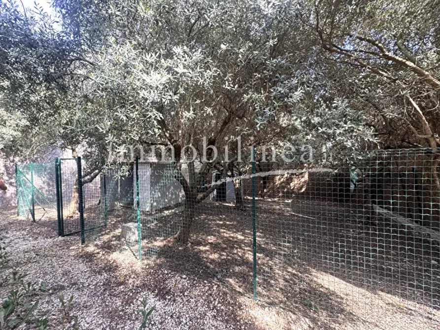 Immagine 24 di Terreno in vendita  in Località Casetta Cimi a Caprino Veronese