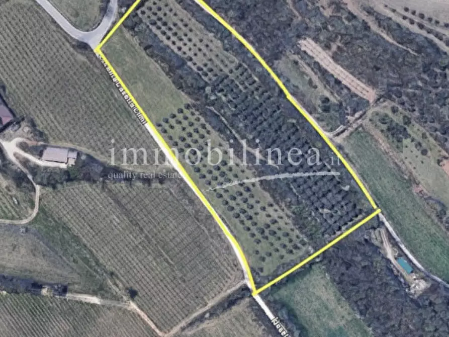 Immagine 26 di Terreno in vendita  in Località Casetta Cimi a Caprino Veronese