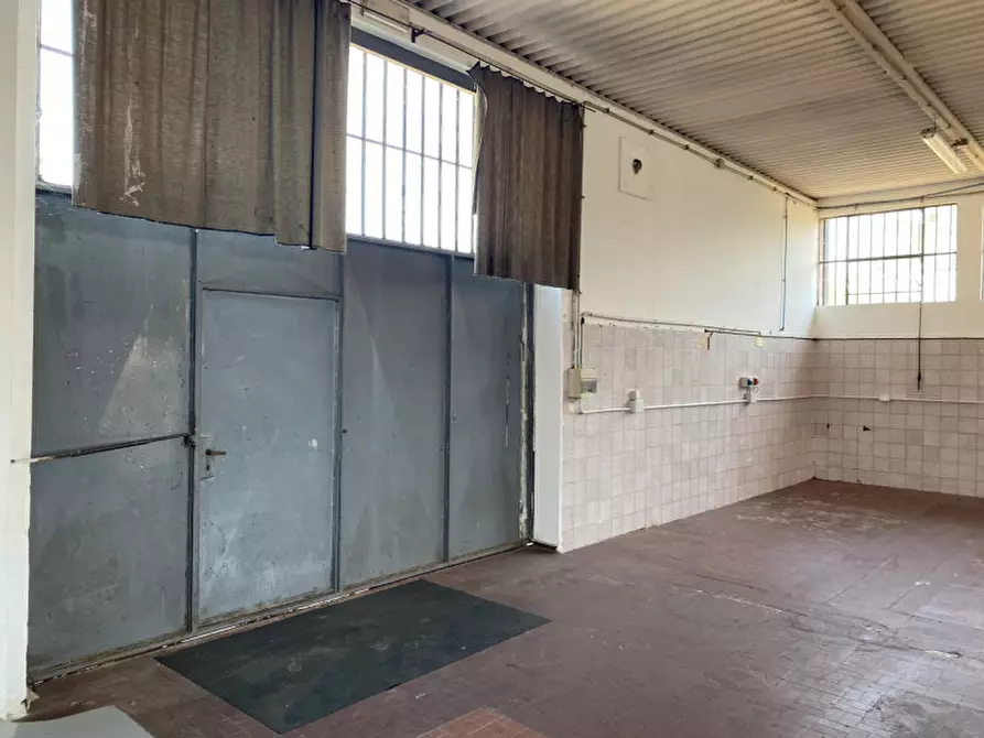 Immagine 5 di Capannone industriale in vendita  a Brugine