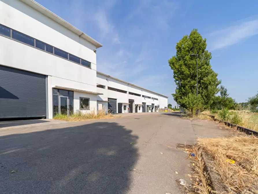 Immagine 6 di Capannone industriale in vendita  in Via Emilio Lepido a Parma