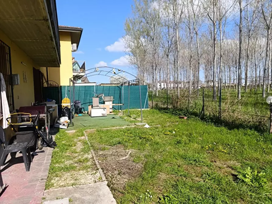 Immagine 11 di Appartamento in vendita  in Via Confine, 8, 46030 Correggioverde MN, Italia - 46030 Dosolo (MN) a Dosolo