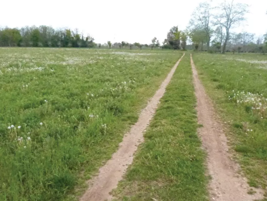 Immagine 2 di Terreno in vendita  in Via Cal Morgana a Paese
