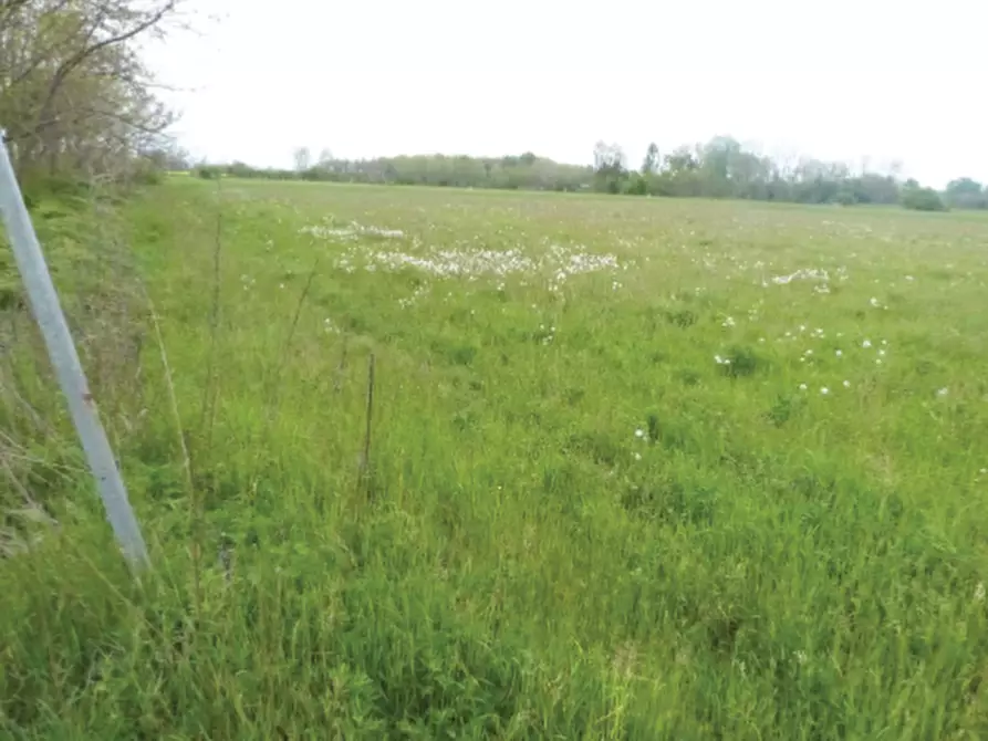 Immagine 4 di Terreno in vendita  in Via Cal Morgana a Paese