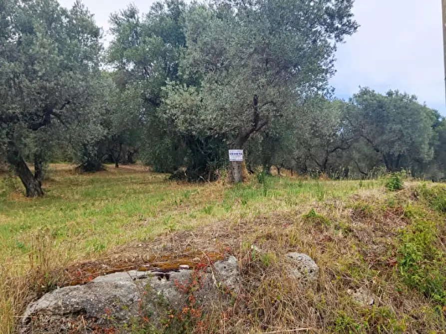 mansarda in vendita a Palombara Sabina