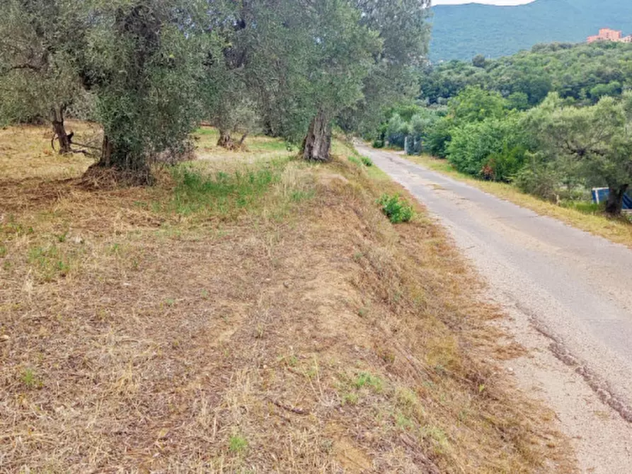 Immagine 2 di Terreno in vendita  in Strada dei Ferrari a Palombara Sabina