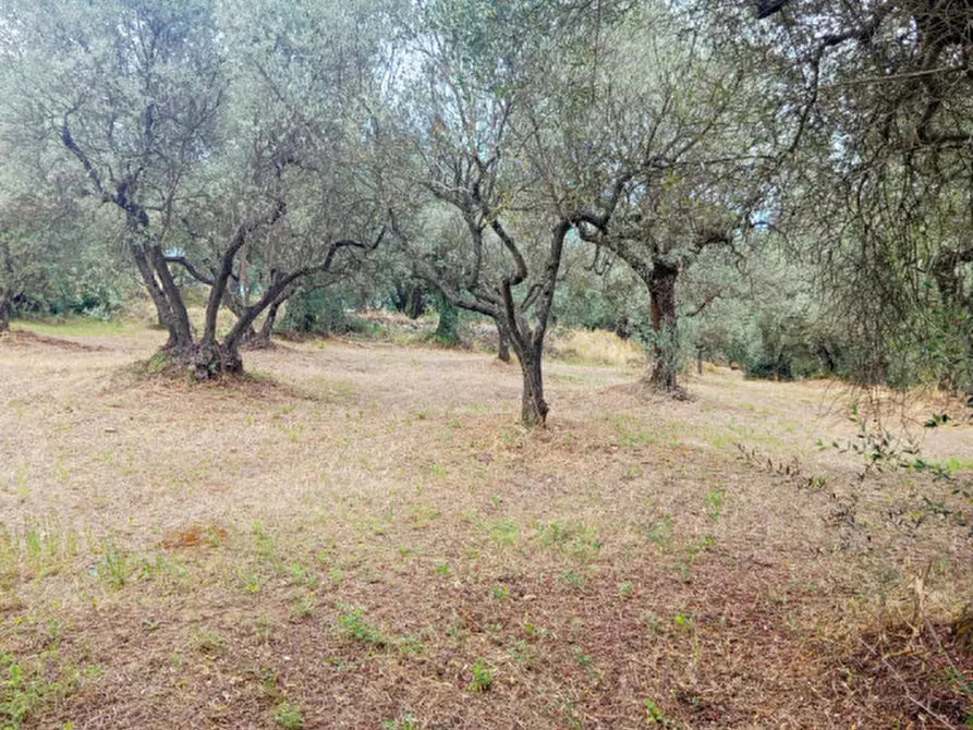Immagine 4 di Terreno in vendita  in Strada dei Ferrari a Palombara Sabina