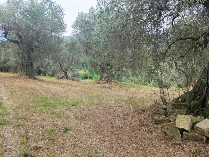Immagine 6 di Terreno in vendita  in Strada dei Ferrari a Palombara Sabina