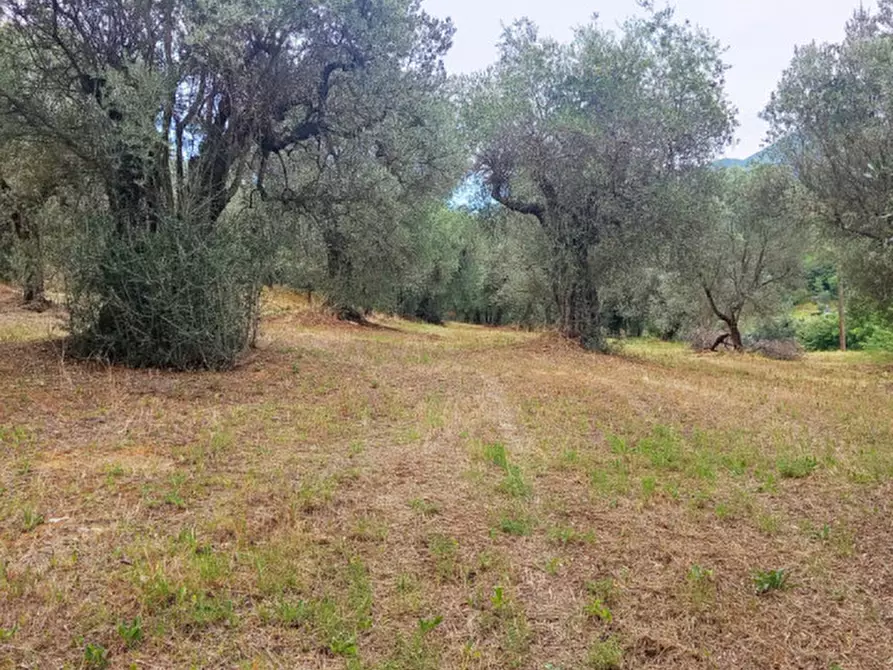 Immagine 7 di Terreno in vendita  in Strada dei Ferrari a Palombara Sabina