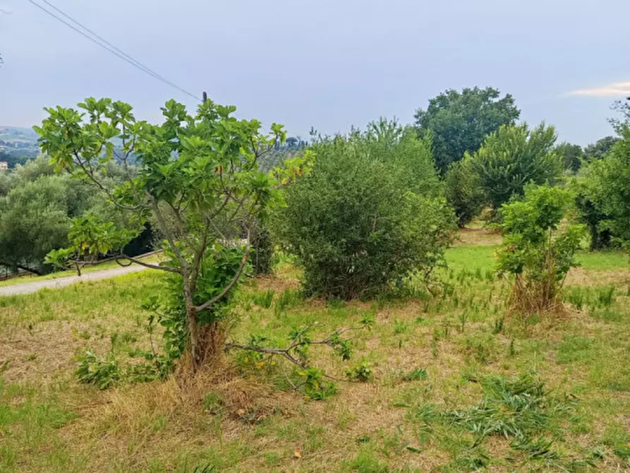 Immagine 9 di Terreno in vendita  in Strada dei Ferrari a Palombara Sabina