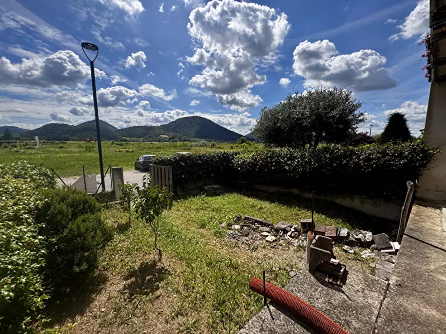Immagine 17 di Casa bifamiliare in vendita  in via vallesana a Lozzo Atestino
