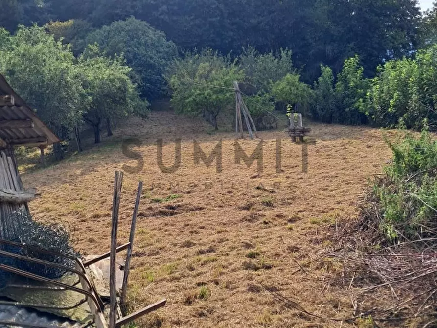 Immagine 1 di Terreno in vendita  a Valli Del Pasubio