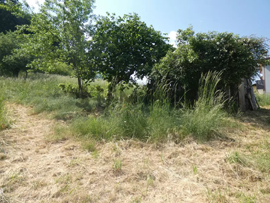 Immagine 2 di Terreno in vendita  a Valli Del Pasubio