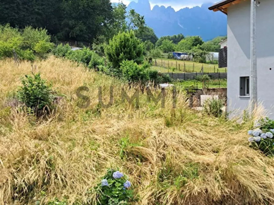 Immagine 2 di Terreno in vendita  a Valli Del Pasubio