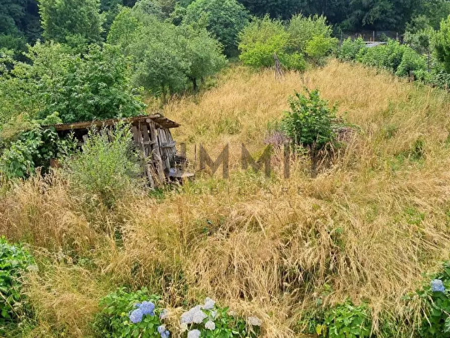 Immagine 3 di Terreno in vendita  a Valli Del Pasubio