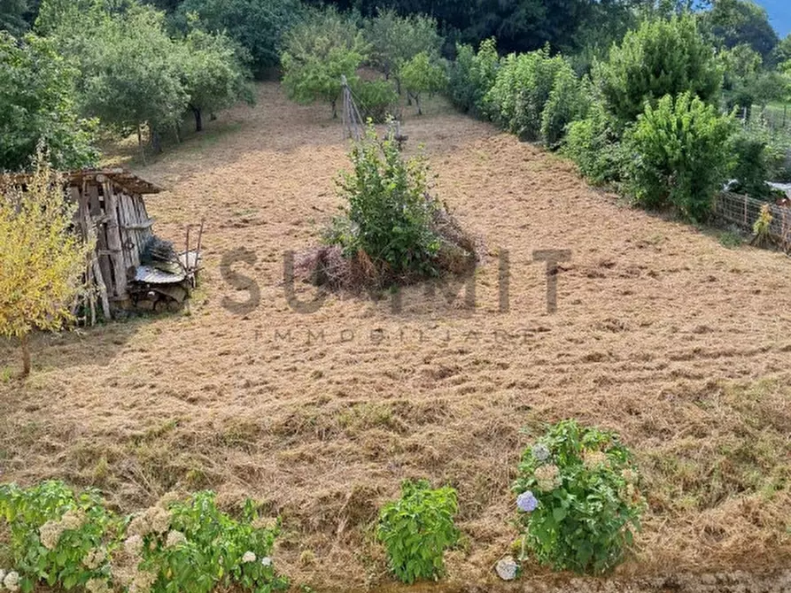 Immagine 8 di Terreno in vendita  a Valli Del Pasubio