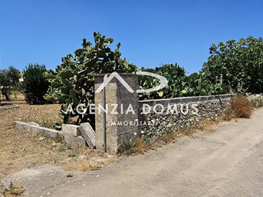 Immagine 4 di Rustico / casale in vendita  in C.da Vore a Racale