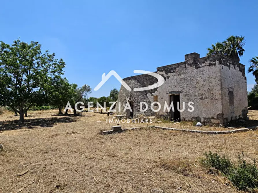 Immagine 9 di Rustico / casale in vendita  in C.da Vore a Racale